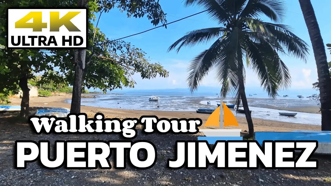 🛥️ Tour Of Puerto Jimenez, Costa Rica + Beach Walk 🦜 Main Town In Osa Peninsula 