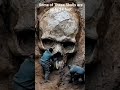 Solomon's island Giant's Skulls 💀 #giants #bigfoot #aliens