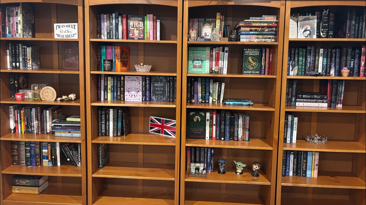 Bookshelf Reorganization Vlog 