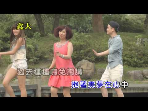 鑫大唱片-卡拉ok字幕版-人生的意義(主唱:鳳琴)