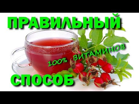 КАК ЗАВАРИВАТЬ ШИПОВНИК ПРАВИЛЬНО, СОХРАНИТЬ ВСЕ ВИТАМИНЫ, 100 СПОСОБ ПОДНЯТЬ ИММУНИТЕТ