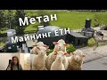 Электричество из биотоплива для Майнинга! Британец майнит на Гов.е!