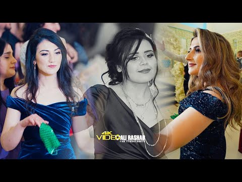 حفل زفاف عبد الرحمن نوجين الفنان محمد فوزي