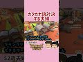 【Dinkum】カタカナ語対決（？）【52歳夫婦の島開拓】
