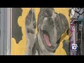 Wynwood murals encourage pet adoption from Miami-Dade shelter