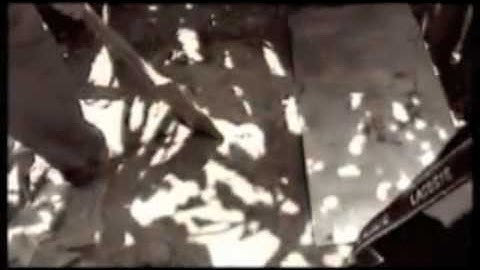 Josko Gravner on Switching to Amphorae