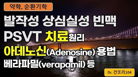 발작성 상심실성 빈맥(PSVT) 치료: 아데노신(adenosine), 베라파밀(verapamil) 등