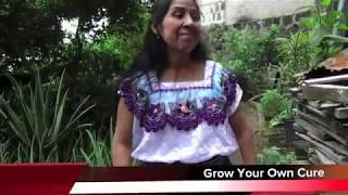 Grow Your Own Cure Guatemala