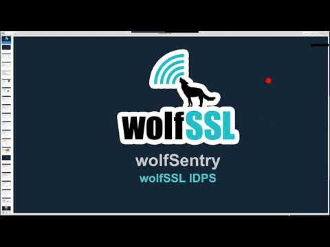 Introducing wolfSentry, an Embeddable IDPS