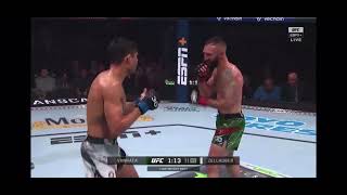 Real Fight Vannata Vs Zellhuber 2023