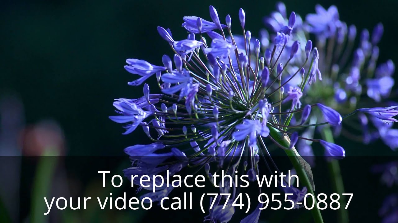 24 hour towing Sterling Heights MI