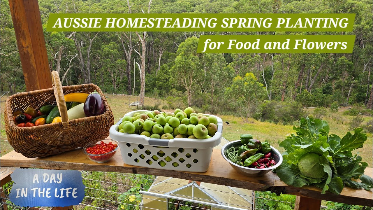 🌱 День весенних посадок (Южная Австралия) | Подготовка к сезону продуктов питания и цветов