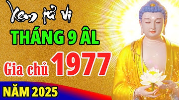 Tử Vi Tuổi Đinh Tỵ 1977 Tháng 9 Âm Lịch Năm Ất Tỵ 2025