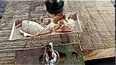 Multitech cnc router ITM2030 with 6 spindles working video