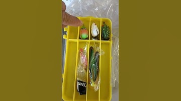 combo mồi chinh phục mọi địa hình câu cá lóc #lurecálóc #shorts