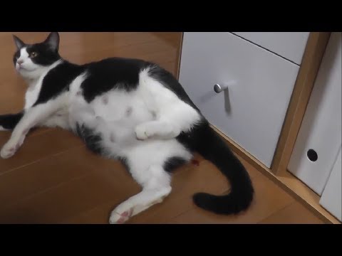 Change [Starts 2/8 (Sat) 22:00] I've always wanted to be