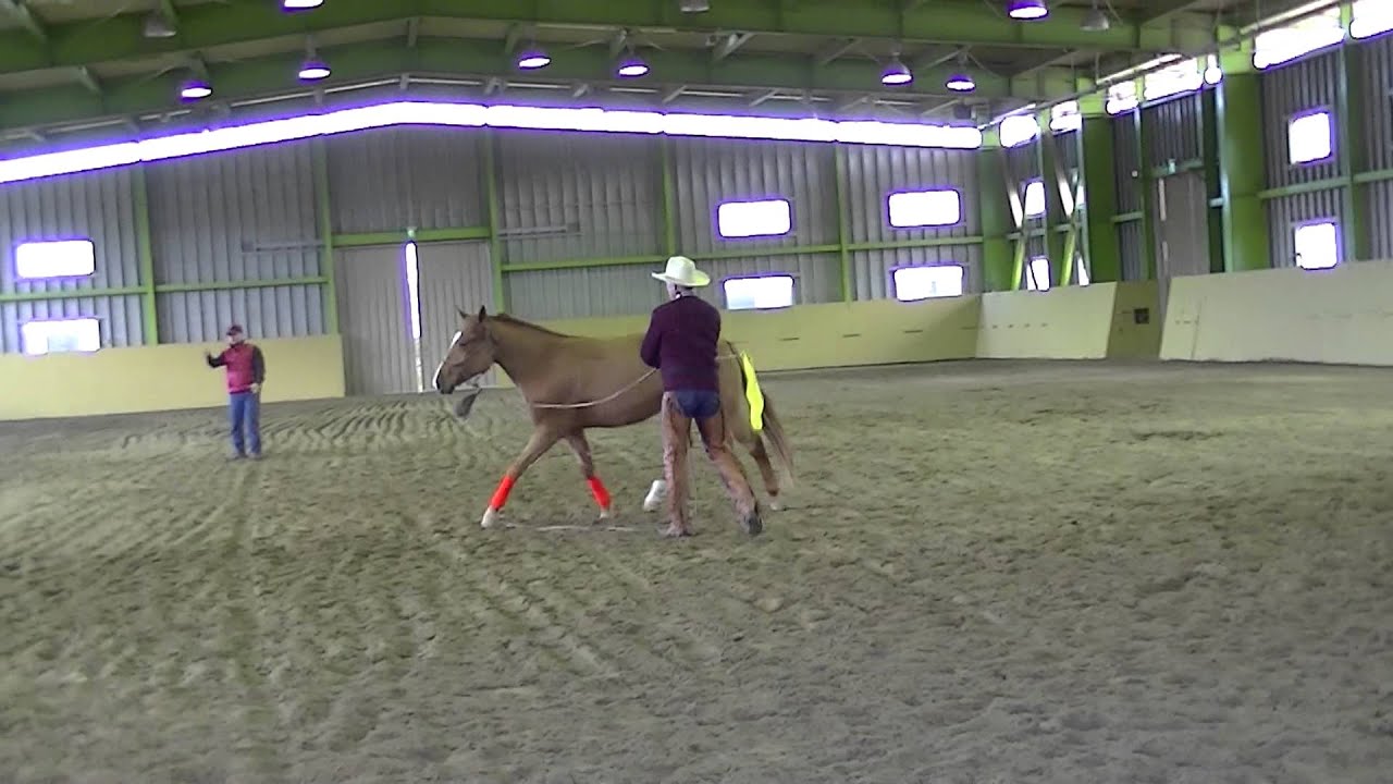 ロバート・レッドフォードが89歳で死去 : r/Actors, image size:1280x720