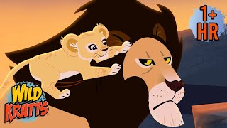 Amazing Animal Dads! | Full Episodes | Animals for Kids | Wild Kratts