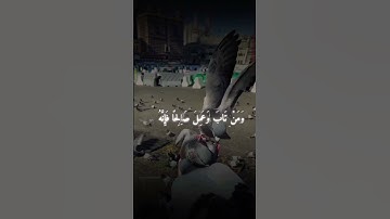 وكان الله غفورا رحيما 🎧 #القرآن_الكريم #تلاوة_خاشعة الشيخ محمد اللحيدان