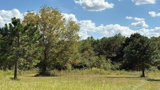 376 West Rd video tour