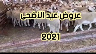 عروض مرجان لعيد الأضحى 2021