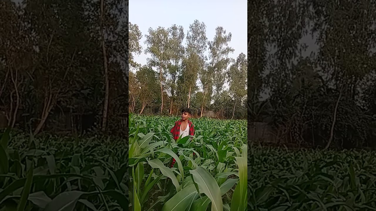 তন্ময় শেখ বিচ্ছেদ গান তাড়াতাড়ি আপন বাড়ি চলো নতুন বিচ্ছেদ গান 🥁🎹