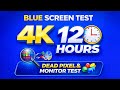 Blue Screen Test 4K 12 Hours | Dead Pixel &amp; Monitor Test