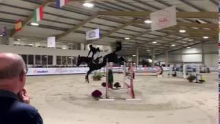 Goldenstar 2nd 1.45m Grand Prix Hellendoorn 2019  Jump-off