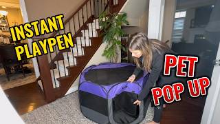 Honest Review Of Ruff N Ruffus Pet Haven Pop UP