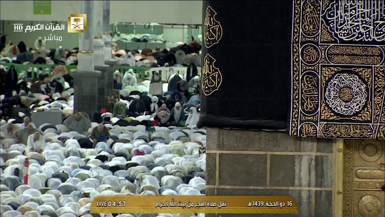 (قد أفلح المؤمنون) تلاوة للشيخ بندر بليلة من صلاة الفجر 16-12-1439هـ