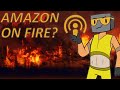 The Amazon Fires Are Bad, But Here Is Some Clarity