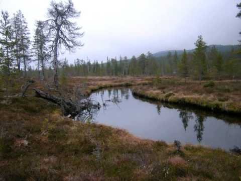 Gammal fbodpsalm frn Dalarna (Old Pastoral Hymn from Dalarna)