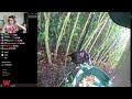 xQc spots a bird on his Bird Cam