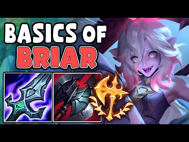 Briar Build Guide : {13.23} Syrobe's Mathematically Correct BRIAR 🩸  [14.01] PBE Items are HUGE for Briar :: League of Legends Strategy Builds