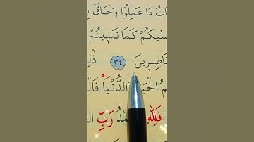 سورة الجاثية الأية 33 إلى 37 بصوت سعد الغامدي