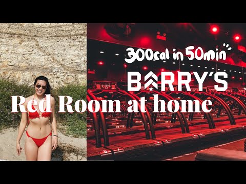 I tried Barry's At Home (still died) ���� REVIEW Barry's Bootcamp every day for a week part 1:O