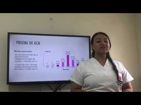 Prueba de GCH