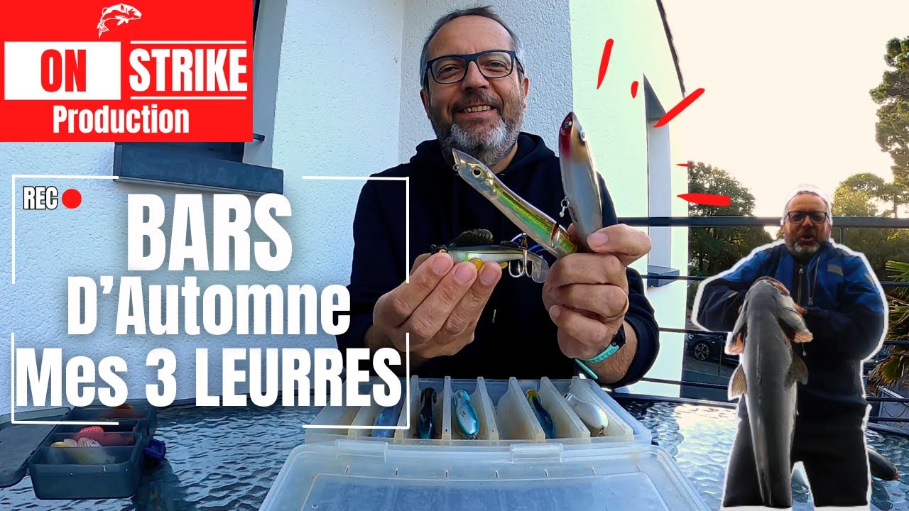 Mes 3 LEURRES pour la PÊCHE du BAR du BORD en AUTOMNE