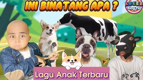 Ini Binatang Apa ? lagu Anak Lucu Terbaru - KBeeb #laguanak #suarabinatang #tebakbinatang