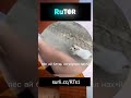 #мемы #юмор #шортс