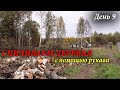 #8 Дача с нуля / Спиливание опасных деревьев 2