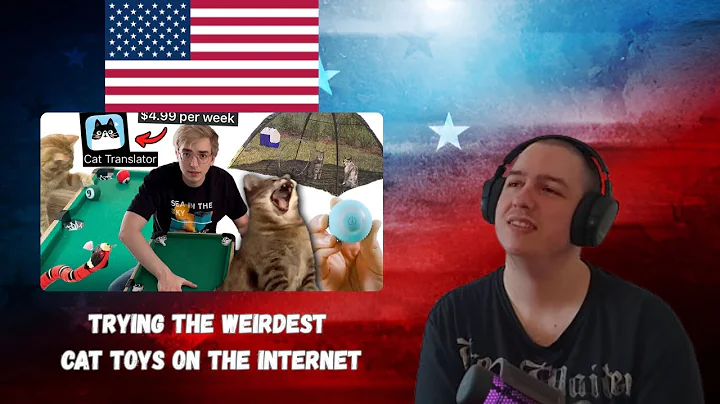 Frenchman Reacts To Trying the weirdest cat toys on the internet - Drew Gooden