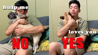 Top Ten Funny Differences Between My Two Dogs |TRY NOT TO LAUGH 😂