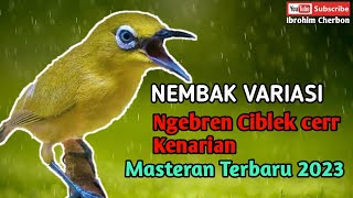 MASTERAN TERBARU 2023||PLECI NEMBAK VARIASI NGEBREN CIBLEK GUNUNG CERR KENARIAN