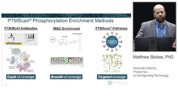 Immune Regulation in Cancer: Capturing Signaling Patterns through Global Phosphorylation Profiling