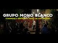 Voces de la Tierra | Mono Blanco