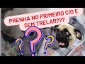 Prenha no primeiro cio e sem trelar????🐕#pug