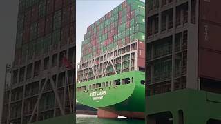 Evergreen Ships - EVER LAUREL 335m Giant Container Ship 🚢 #shorts #evergreenships #everlaurel #ship