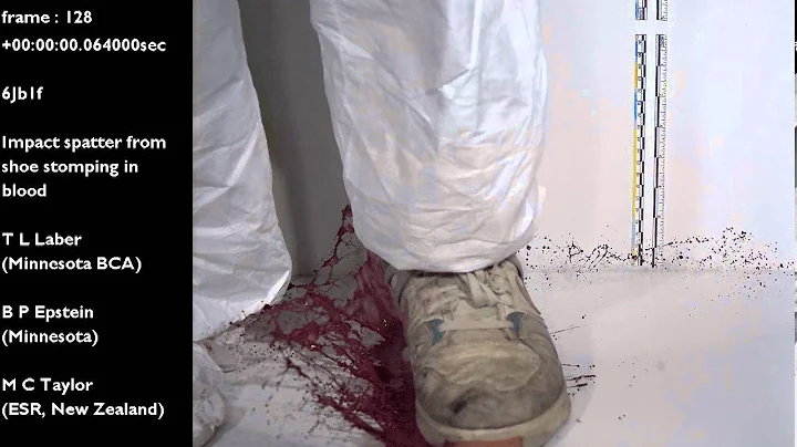 Impact- shoe stomp in blood on hard surface | Bloo...
