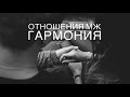 Отношения МЖ - что такое гармония